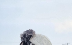 国产剧情麻豆MD0061